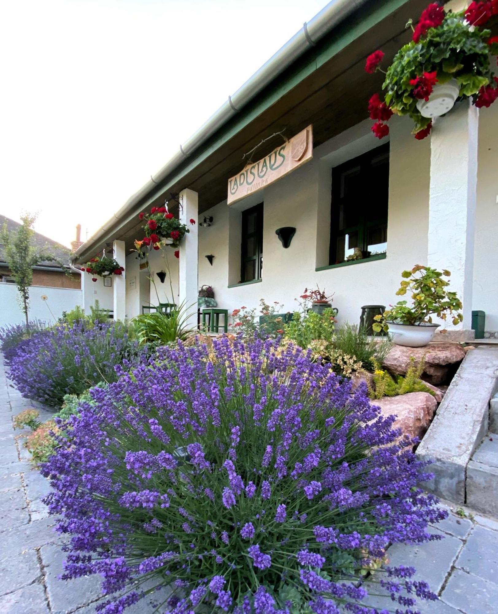 Ladislaus Schnaps-Haus Falusi Vendeghaz Csolnok Exteriér fotografie