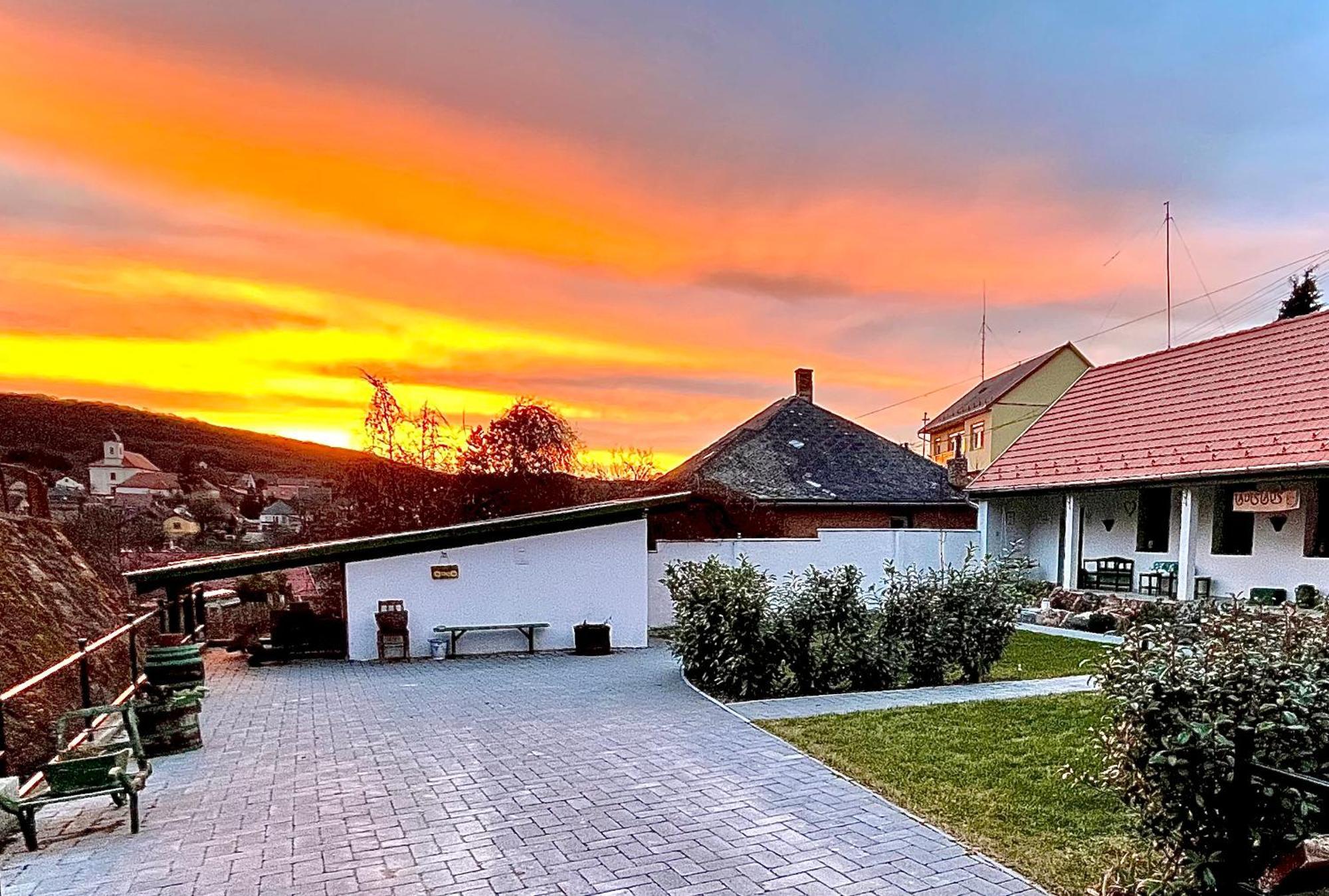 Ladislaus Schnaps-Haus Falusi Vendeghaz Csolnok Exteriér fotografie
